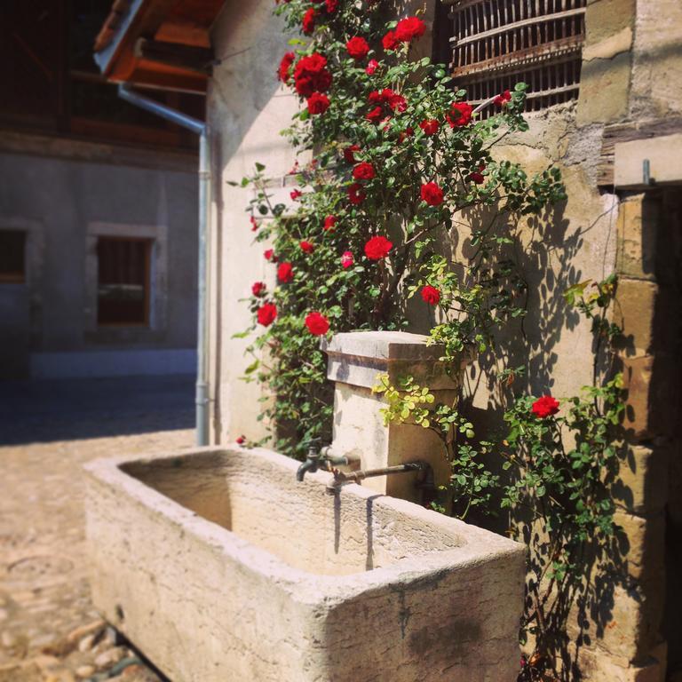 La Ferme Du Lignon Otel Vernier Dış mekan fotoğraf